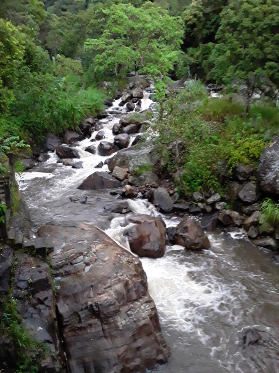 Mount View Family Rest & Cottage Haputale Buitenkant foto