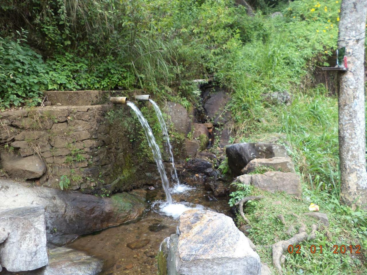 Mount View Family Rest & Cottage Haputale Buitenkant foto